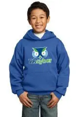 Youth Hooded Sweatshirt